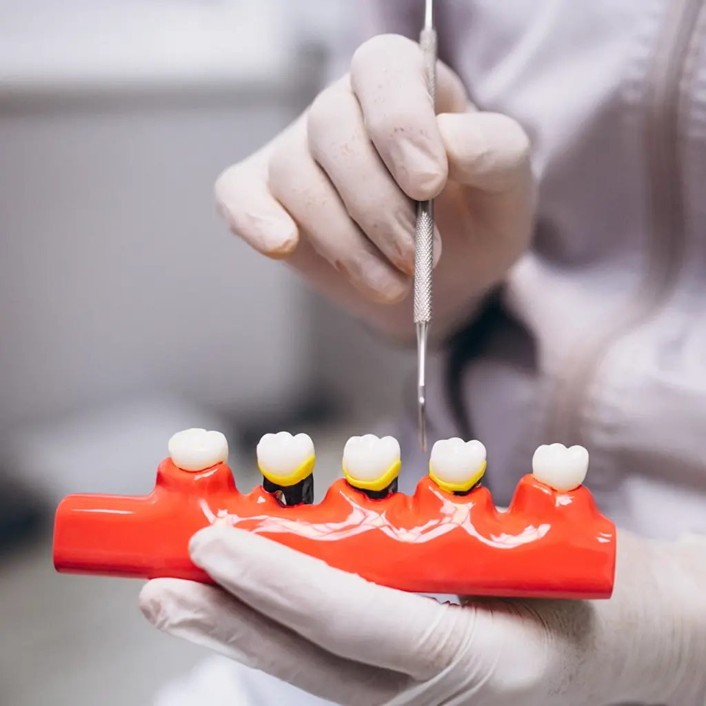 Periodontology
